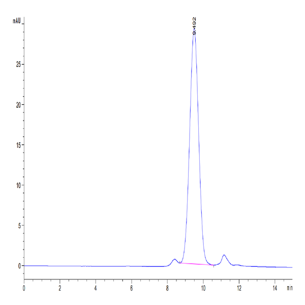 Mouse TRAIL R2/DR5/TNFRSF10B Protein (TRL-MM1R2)