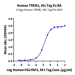 Human TREM1 Protein (TRM-HM101)