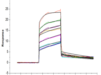 Human TREM2 Protein (TRM-HM102)