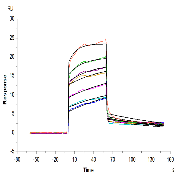 Human TREM2 Protein (TRM-HM102) Human TREM2 Protein (TRM-HM102)