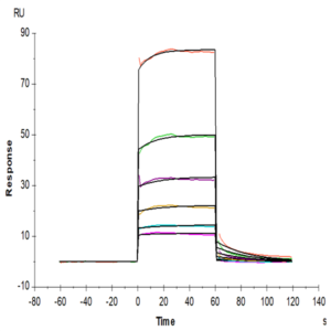 Human TREM2 Protein (TRM-HM201)