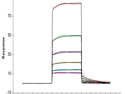 Human TREM2 Protein (TRM-HM201)