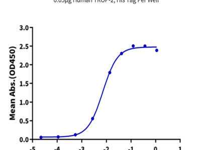 Human TROP-2/TACSTD2 Protein (TRP-HM121)