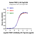 Human TROP-2/TACSTD2 Protein (TRP-HM121)