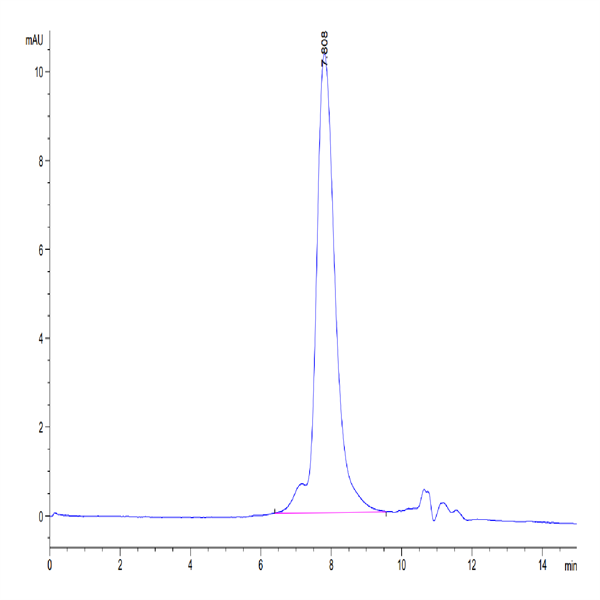 Human TROP-2/TACSTD2 Protein (TRP-HM121)