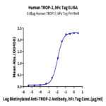 Human TROP-2/TACSTD2 Protein (TRP-HM221)