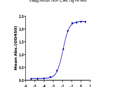 Human TROP-2/TACSTD2 Protein (TRP-HM221)