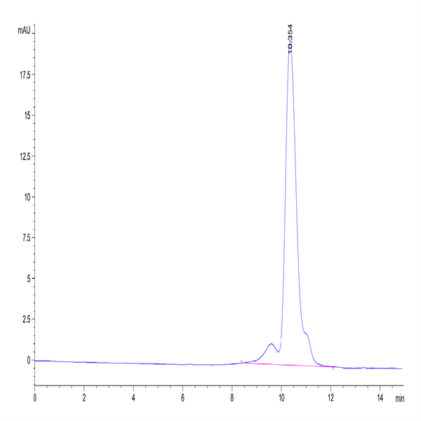 Biotinylated Human TROP-2/TACSTD2 Protein (TRP-HM421B)