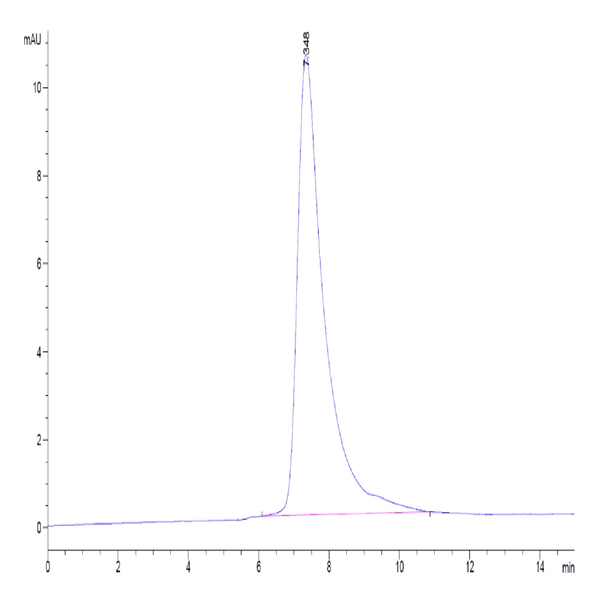 Rat TROP-2/TACSTD2 Protein (TRP-RM121) Rat TROP-2/TACSTD2 Protein (TRP-RM121)