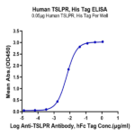 Human TSLPR Protein (TSP-HM10R)