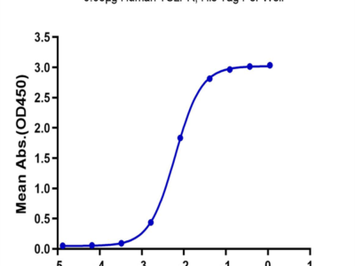 Human TSLPR Protein (TSP-HM10R)