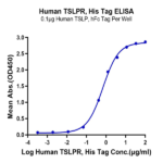 Human TSLPR Protein (TSP-HM10R)