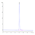 Human TSPAN8 Protein (TSP-HM2N8)