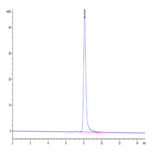 Human TSPAN8 Protein (TSP-HM2N8)