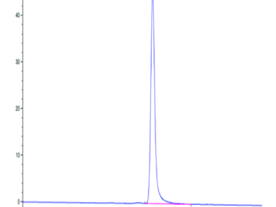 Human TSPAN8 Protein (TSP-HM2N8)