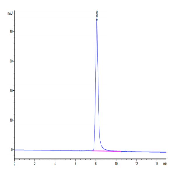 Human TSPAN8 Protein (TSP-HM2N8) Human TSPAN8 Protein (TSP-HM2N8)