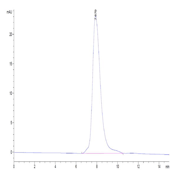 Biotinylated Human TSLP (R127A, R130A) Protein (TSP-HM402B)