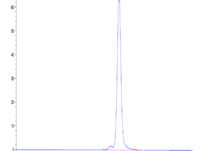 Mouse TSLPR Protein (TSP-MM10R)