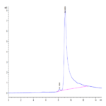 Cynomolgus Transthyretin/Prealbumin Protein (TSR-CM101)
