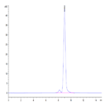 Human Transthyretin/Prealbumin Protein (TSR-HM101)