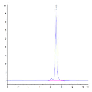 Human Transthyretin/Prealbumin Protein (TSR-HM101)