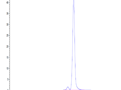 Human Transthyretin/Prealbumin Protein (TSR-HM101)