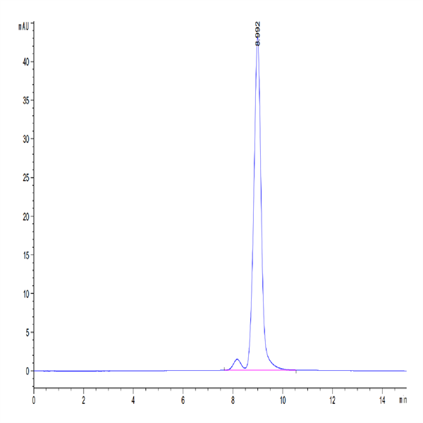 Human Transthyretin/Prealbumin Protein (TSR-HM101) Human Transthyretin/Prealbumin Protein (TSR-HM101)