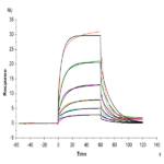 Human TYRO3 Protein (TYR-HM103)