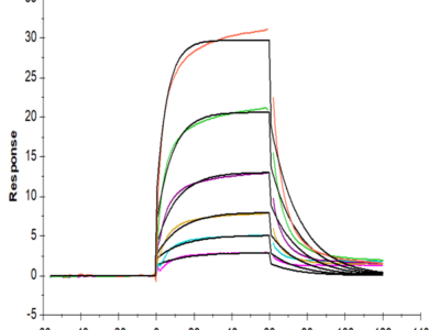 Human TYRO3 Protein (TYR-HM103)