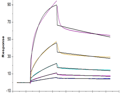 Human ULBP-2 Protein (ULB-HM202)