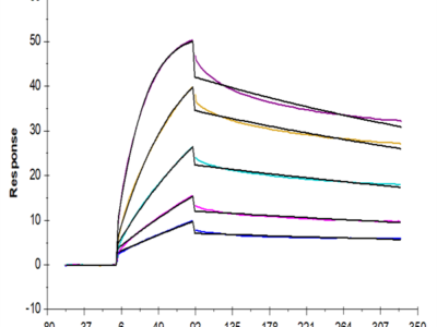 Human ULBP-4 Protein (ULB-HM204)