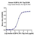 Human ULBP-6 Protein (ULB-HM206)