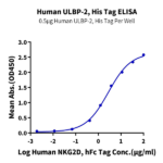 Human ULBP-2 Protein (ULB-HM402)