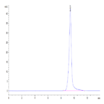 Human ULBP-2 Protein (ULB-HM402)