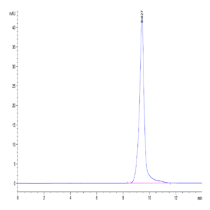 Human ULBP-2 Protein (ULB-HM402)