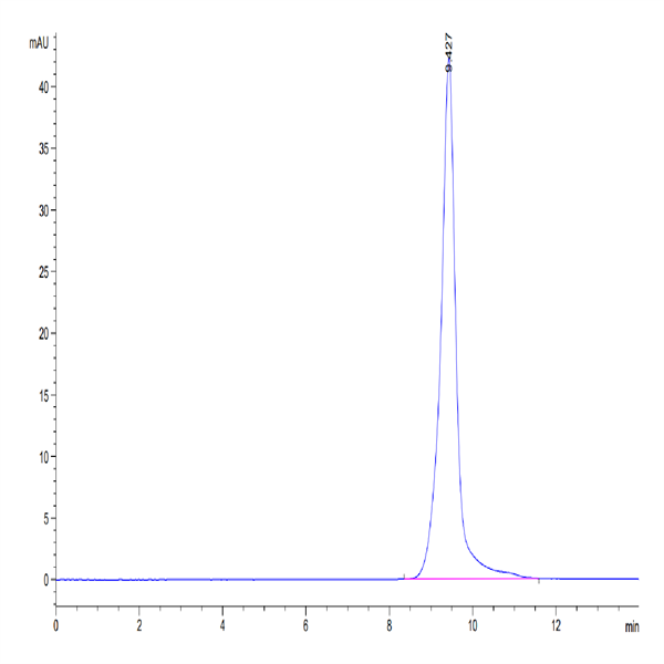 Human ULBP-2 Protein (ULB-HM402)