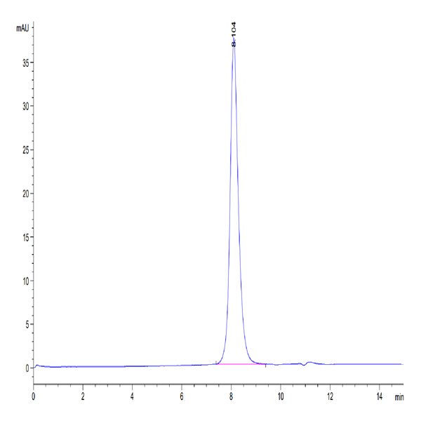 Biotinylated Human ULBP-2 Protein (ULB-HM402B)