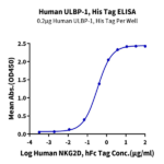 Human ULBP-1 Protein (ULB-HM4P1)