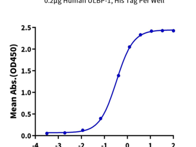 Human ULBP-1 Protein (ULB-HM4P1)