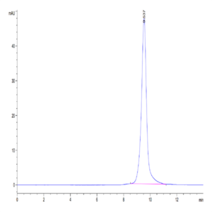 Human ULBP-1 Protein (ULB-HM4P1)