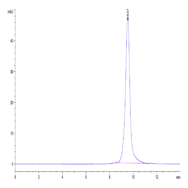 Human ULBP-1 Protein (ULB-HM4P1)