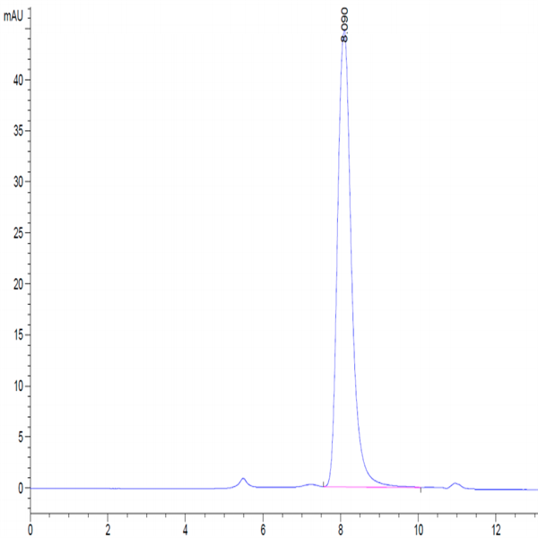 Biotinylated Human ULBP-1 Protein (ULB-HM4P1B)