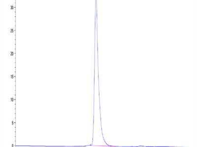 Human VCAM-1/CD106 Protein (VAM-HM106)