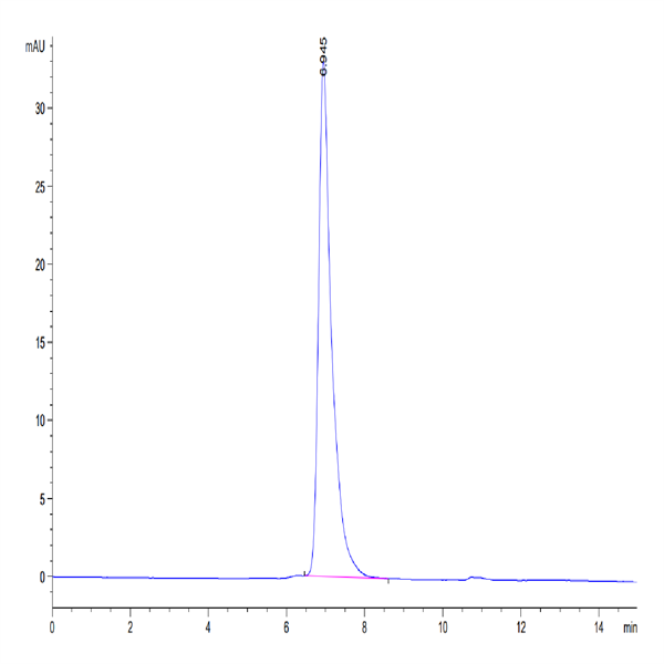 Human VCAM-1/CD106 Protein (VAM-HM106) Human VCAM-1/CD106 Protein (VAM-HM106)