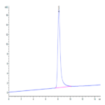 Human VAP-1 Protein (VAP-HM101)