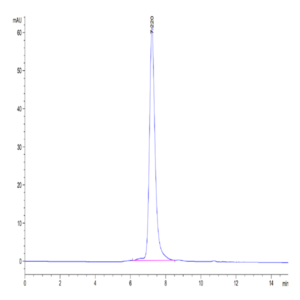 Human VLDLR Protein (VDR-HM101)