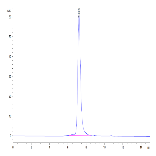 Human VLDLR Protein (VDR-HM101)