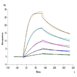 Mouse VLDLR Protein (VDR-MM101)