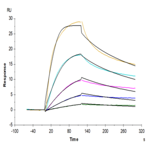 Mouse VLDLR Protein (VDR-MM101)
