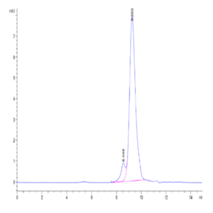 Human VEGF121 Protein (VEG-HM021)